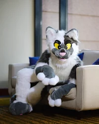 Coopertom Fursuit 