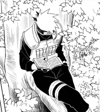 kakashi hatake