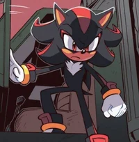 Shadow The Hedgehog
