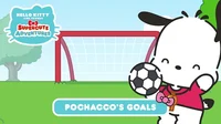 Pochacco goals