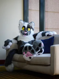 Coopertom Fursuit 