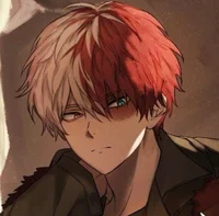 Shoto Todoroki 0003