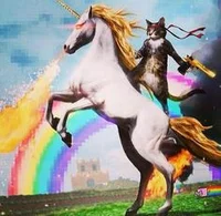 cat riding a unicorn