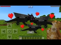 EnderDragon