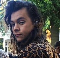 harry styles - 2015