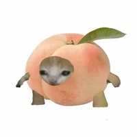 Сводный старший брат