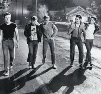 The Outsiders Gang