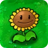 Sunflower - PVZ