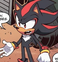 Shadow the Hedgehog