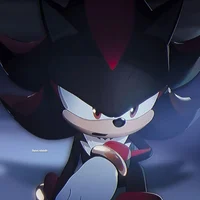 SHADOW_The Hedgehog 