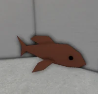 some weird fish