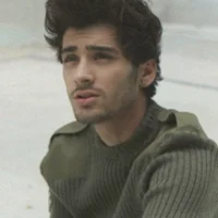 Zayn Malik