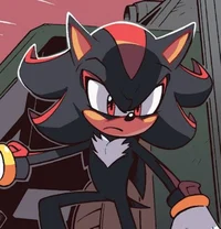 Shadow the Hedgehog
