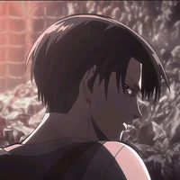Levi Ackerman