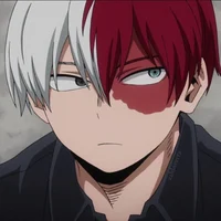 Shoto Todoroki 
