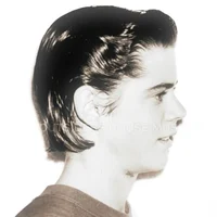 Ponyboy Curtis