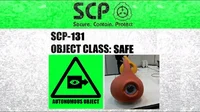 SCP-131