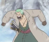 Roronoa Zoro