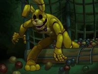 ITP Spring Bonnie 