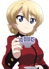 Darjeeling Step-Sis