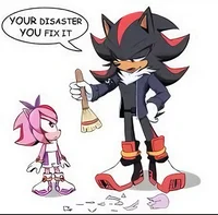 Shadow The Hedgehog