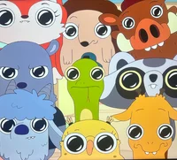 Accidental Followers