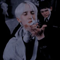 Draco M