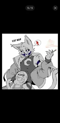Cat nap X player