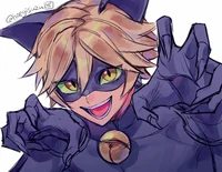 Cat noir