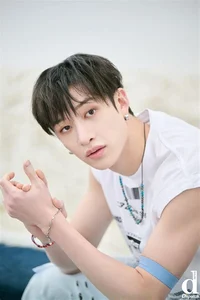 Bang Chan 