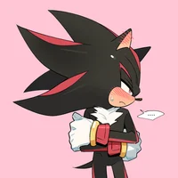 Shadow The Hedgehog 