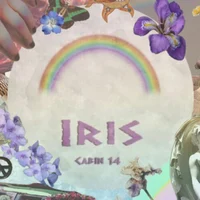Cabin 14 IRIS
