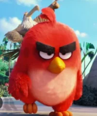 Red-Angry Birds