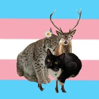 Your Furry Roomates4