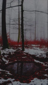 Forest in blood