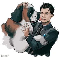 Conner RK800 X Sumo