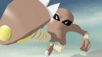 Hitmonlee Foot RP