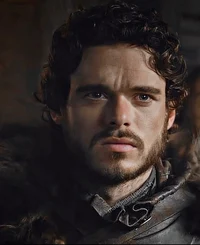 Robb stark