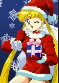 Christmas usagi 