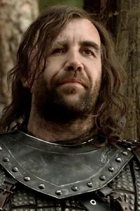 Sir Sandor clegane 