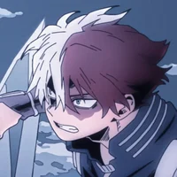 Shoto Todoroki