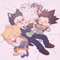 Cat HXH