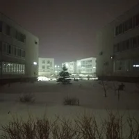 убийство в школе 