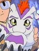 gomamon 