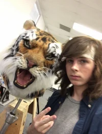 Carl Grimes