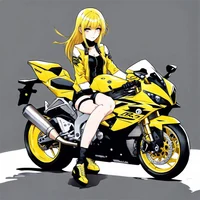 Girl and BMW S1000RR