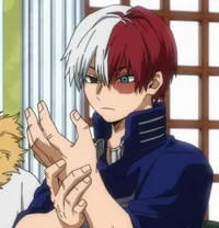 MY HERO - Shoto
