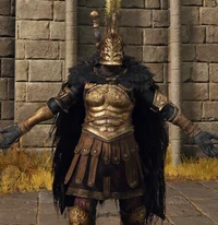 The Tarnished