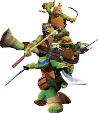 Tmnt Concert