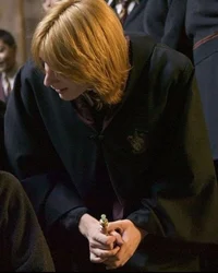 George F Weasley